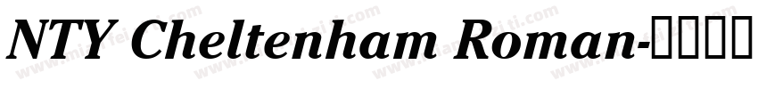 NTY Cheltenham Roman字体转换